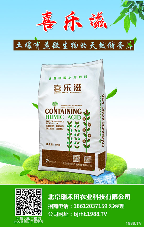 �����~Ƭ�l(f��)�S����ô�����������~Ƭ�l(f��)�S��ô������