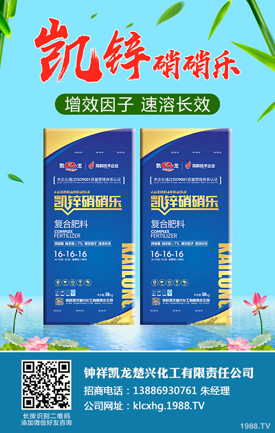 ʲô���ЙC(j��)��ײˣ��ЙC(j��)��ײ˷NֲҪ�c(di��n)����Щ��