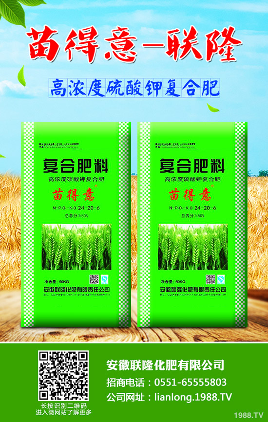 ��ţ��?q��)����w��ʲô��̎��ţ��ĠI(y��ng)�B(y��ng)�r(ji��)ֵ����Ч!