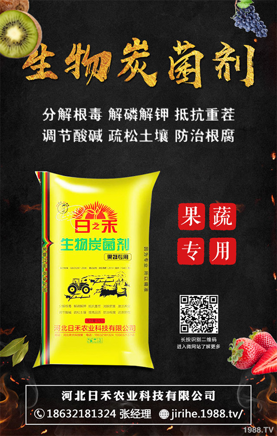 ���[��ֲ�������ˆ������[��ֲ����ֲ���������