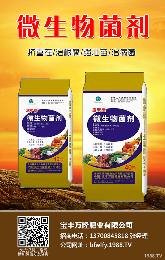 ���m���Nֲ��������Щ�����m���Nֲע�����(xi��ng)��