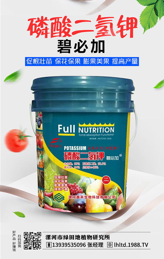 ����оG���ֲ���о���