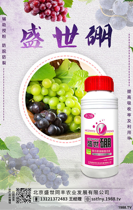 西葫蘆早疫病的發(fā)病原因是什么?如何防治西葫蘆早疫病?