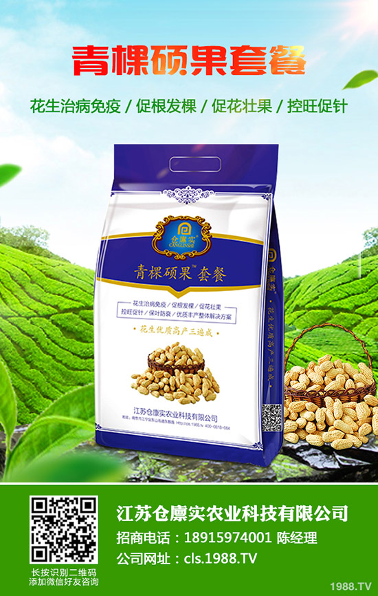 冬季大棚種植如何放風?怎么確定風口大?放風技巧及注意事項!