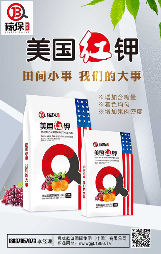 ���㻨�B(y��ng)ֳ��������Щ�����㻨�B(y��ng)ֳע�������