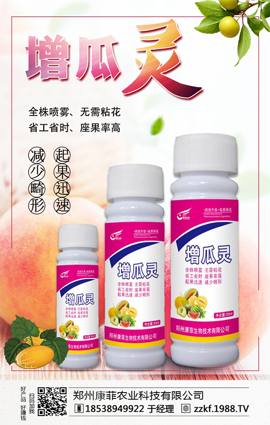 �����Ϲ���ô�Nֲ�������ϹϵķNֲ��Ҫ�c(di��n)��