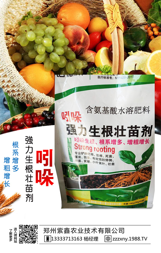 ��֥��Nֲ�r(sh��)�g��ʲô�r(sh��)�������֥��Nֲ�������g(sh��)��