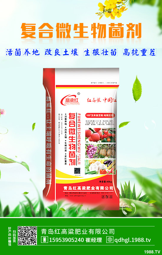     ��(f��)�Ϸʶ����M(j��n)չ������2019��11��27�Տ�(f��)�Ϸʃr(ji��)�����(b��o)��