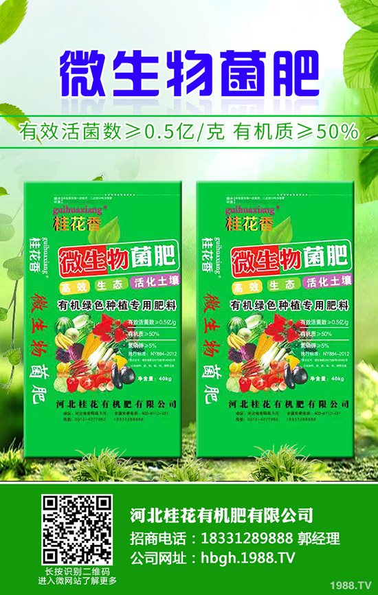 檳榔芋種植技術(shù)有哪些,檳榔芋的病蟲害防治