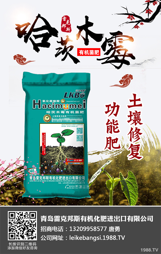 哪些地方適合種植白皮松?白皮松栽培技術(shù)管理