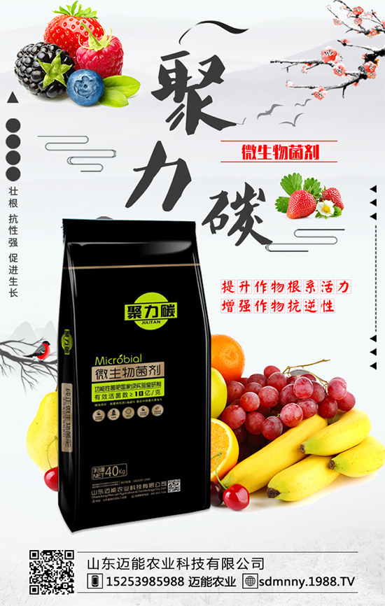 柿子各部位的營(yíng)養(yǎng)價(jià)值,柿子保鮮的方法有哪些?