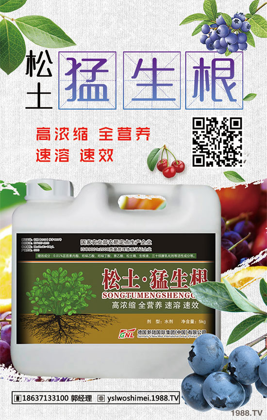 ��������Щ��Ч�����������ӵ�ʳ�ý��ɣ�