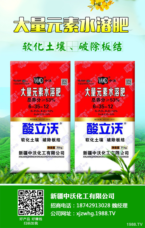 ��Ƥ�ɽ�(j��ng)��(j��)Ч�������2020��Ƥ�ɵķNֲǰ������