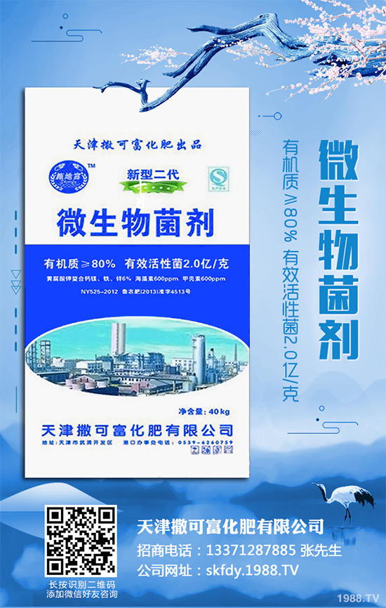 ��Ƥ�����Ժ���S��զ���£�ԓ��ô��Q�����������