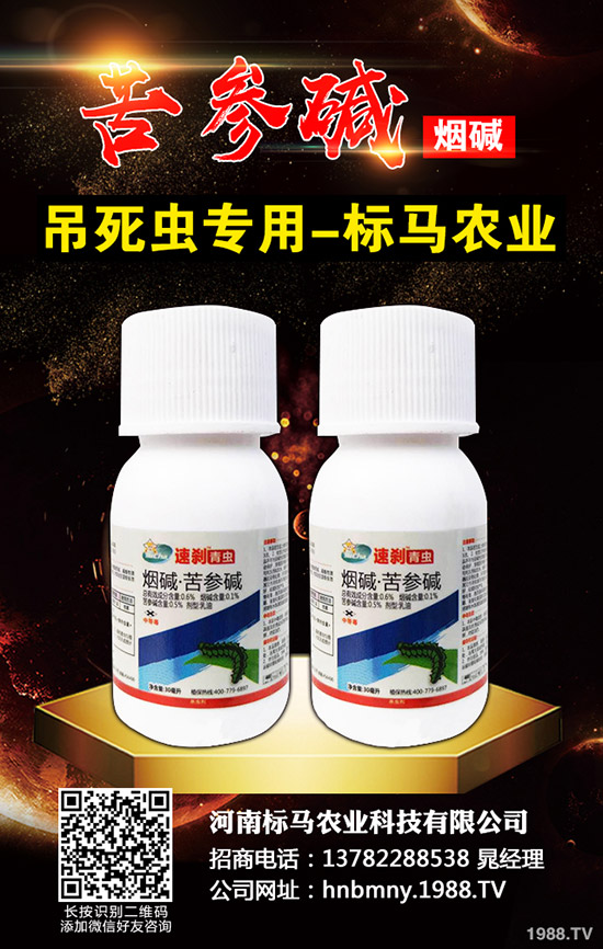 �������x��Σ���Y��l(f��)���l������������Щ���η�����