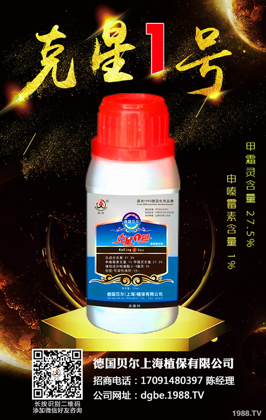 Koppert�ڶ���(gu��)��ӛ�����������Noli