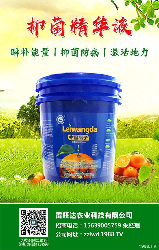 �L�ڵ͜ع��գ��߲��L�ݲ�ԓ��ν�Q�����������a��Ď�헴�ʩ