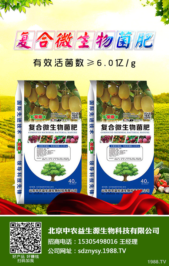 �����˵Ĺ�Ч�c�����������˵ĠI(y��ng)�B(y��ng)�r(ji��)ֵ��