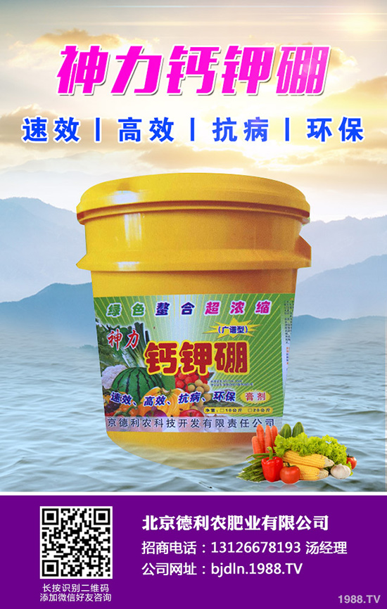 八月瓜種植前景如何,八月瓜種植要點(diǎn)!