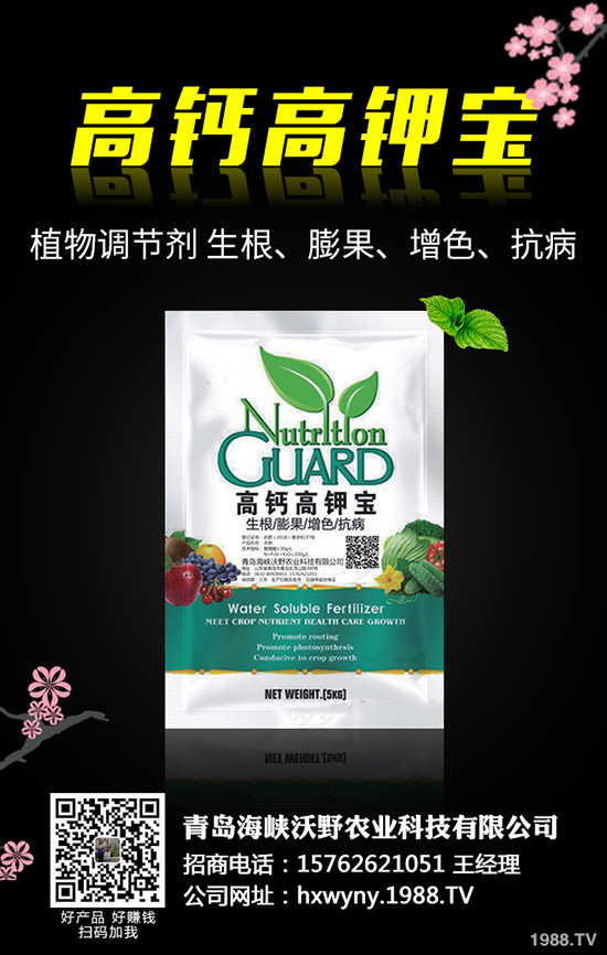 �Ϳ��Nֲǰ��Ҫ��(zh��n)����Щ�������Ϳ��Nֲ��������Щ��