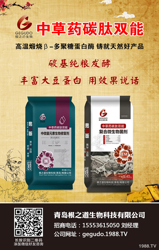 �������N����ĕ������������N�r�g��������