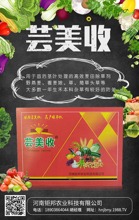 河南鉅邦農(nóng)業(yè)科技有限公司1