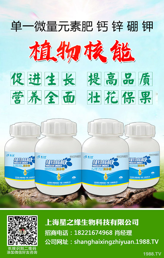 ѿ�����ӷNֲ��ѿ�˷Nֲ���g���˽������