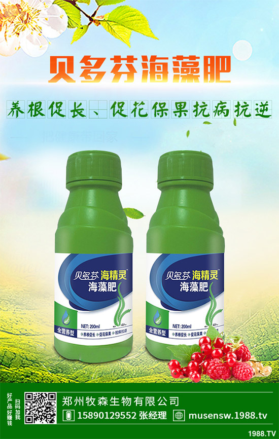 ���E��ʲô�@ô���˚gӭ�����E���Ј��������