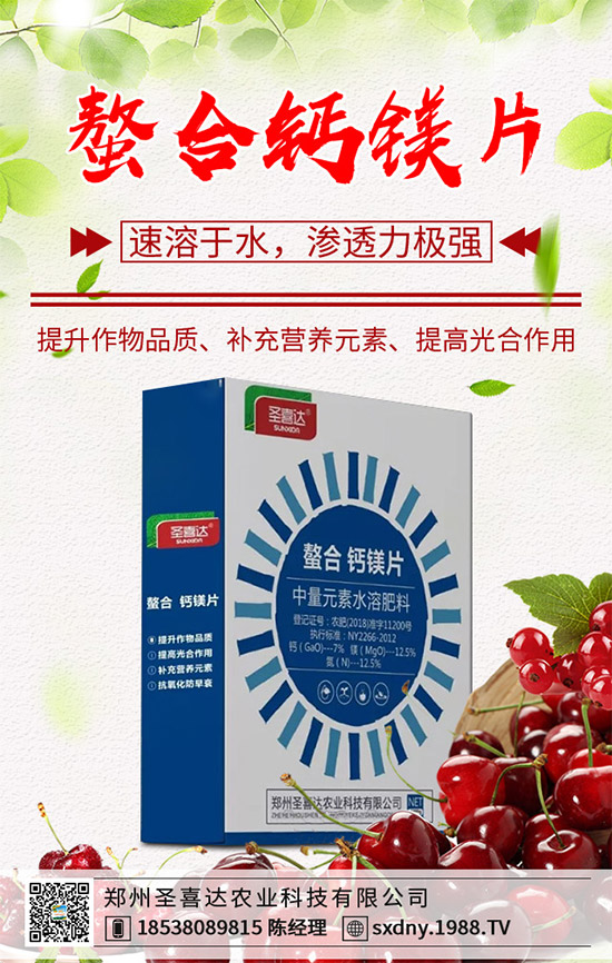 洋薊有哪些營養(yǎng)價值?洋薊的營養(yǎng)價值及功效作用