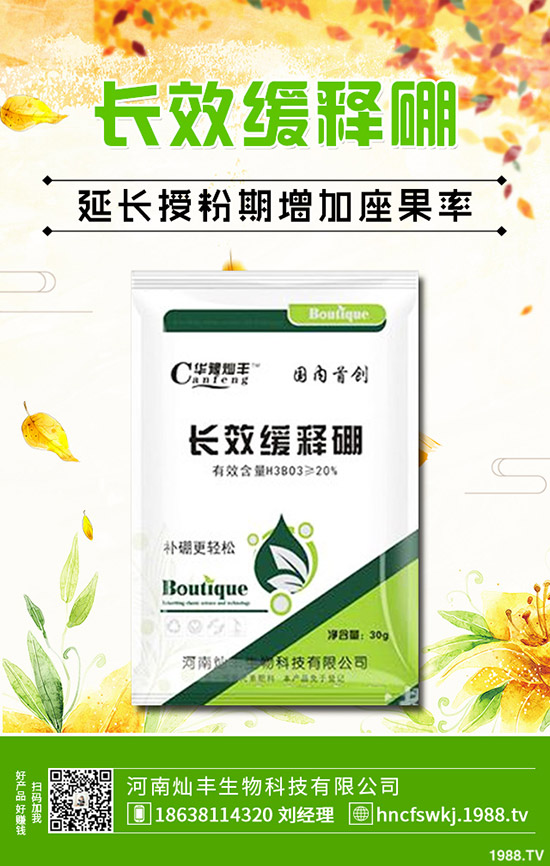 ���L�Nֲ���g����Щ�����L�����g����