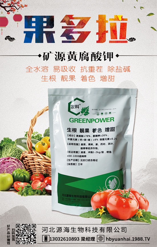 ������Ճr������Xһ����2020�����Nֲǰ����Σ�