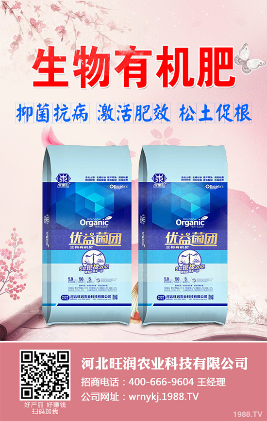 ����²�ԓ��ô�N����������²˷Nֲ���g(sh��)Ҫ�c