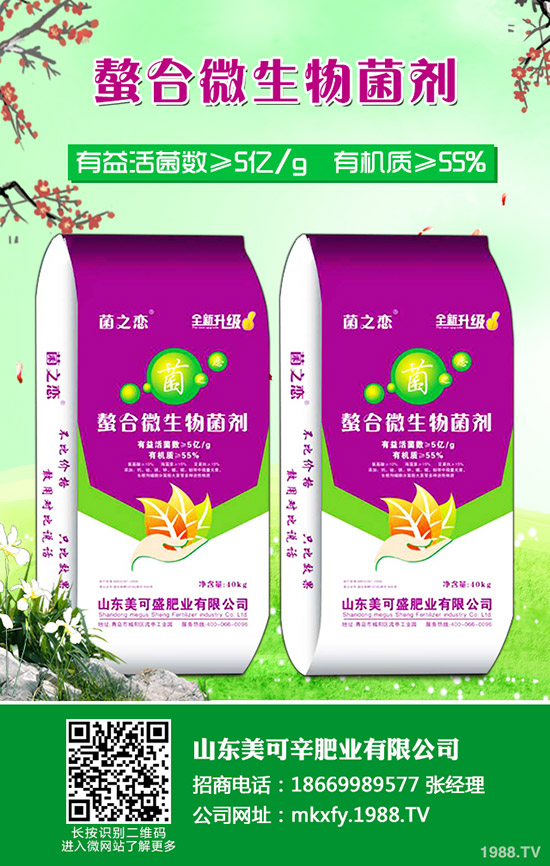     2019-12-11���@�����M(j��n)չǷ��������������@�r(ji��)���(b��o)�r(ji��)һ�[