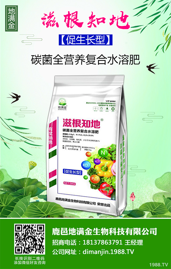 蔓荊子多少錢(qián)一斤?2020年蔓荊子種植前景及效益分析