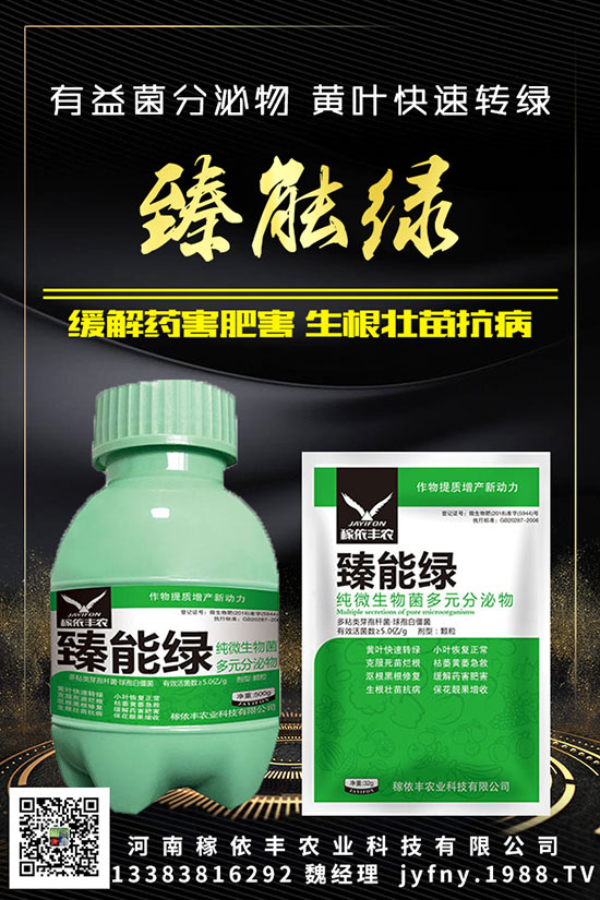 ��N�S�ʺܳ�Ҋ��Ԫ�غ�������������Ҫ֪���c�M��������