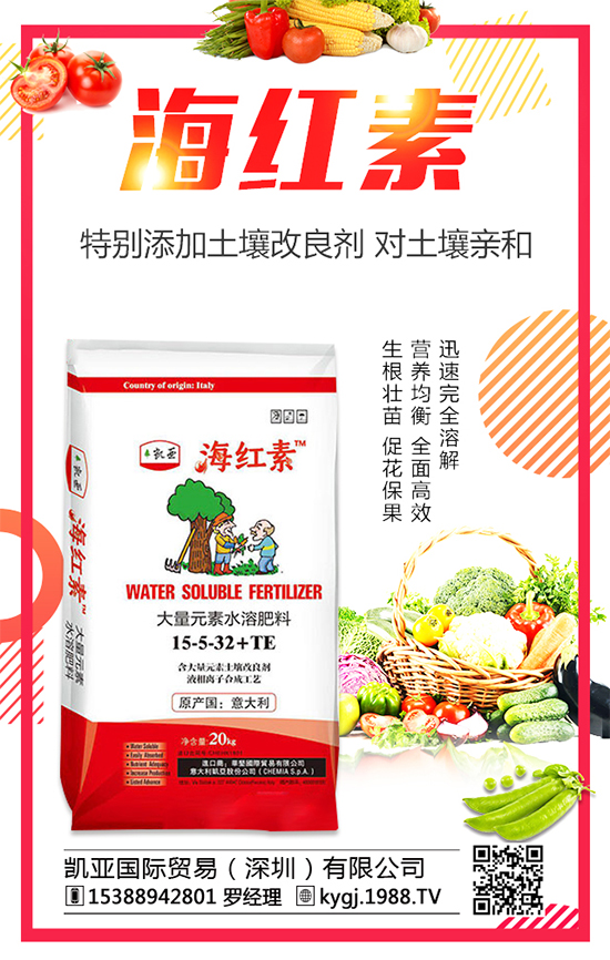 2020�껨���Nֲǰ�������������Nֲ�ĳɱ�������������	