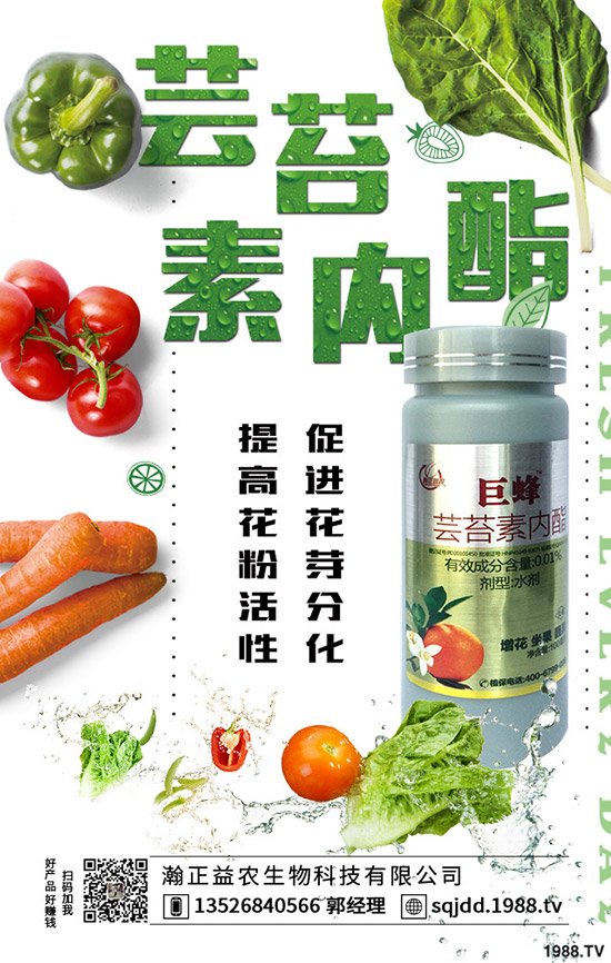 �����߲˲ɹ��ʵ�Σ���������ߴ����߲˲ɹ��ʣ�