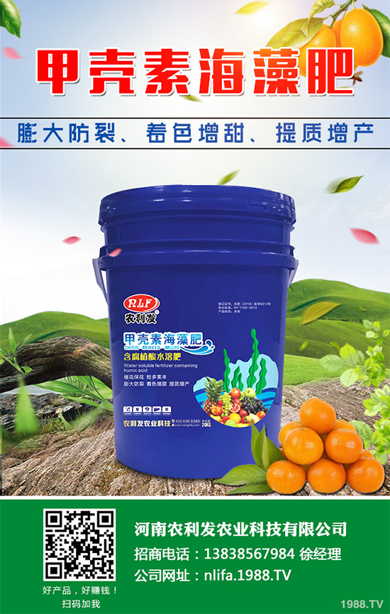 Ģ���Nֲ��Ҫʲô�l����Ģ���Nֲ�h(hu��n)��Ҫ��