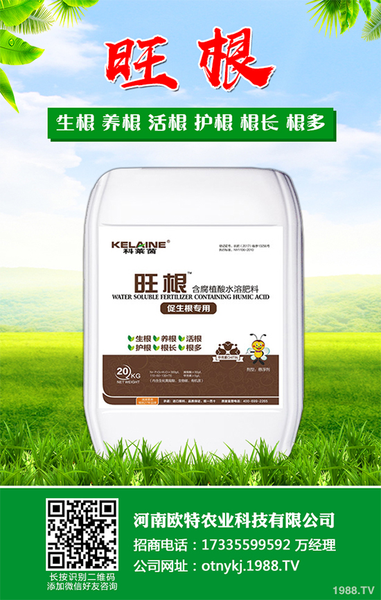 Ģ���Nֲ��Ҫʲô�l����Ģ���Nֲ�h(hu��n)��Ҫ��