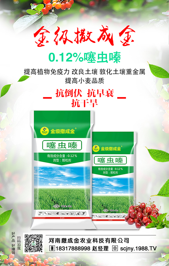 ���Է��ϊZ�����B��(w��n)������