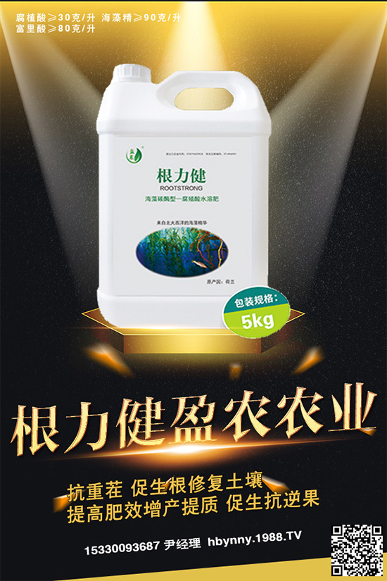     ������ȥ�������_�����_���Ϸ���ע�⡰���ɡ�