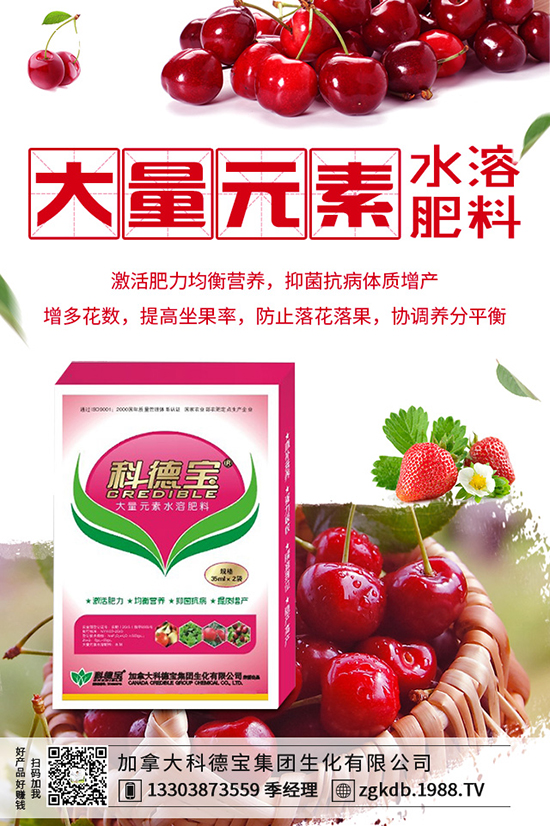 2019-12-21���؃r������ӑB(t��i)�������Xһ����