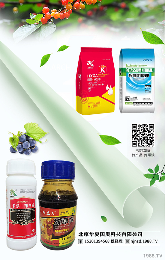 �R���Ͻ���x(ch��ng)�麦�Y�� �R���Ͻ���x(ch��ng)���η���