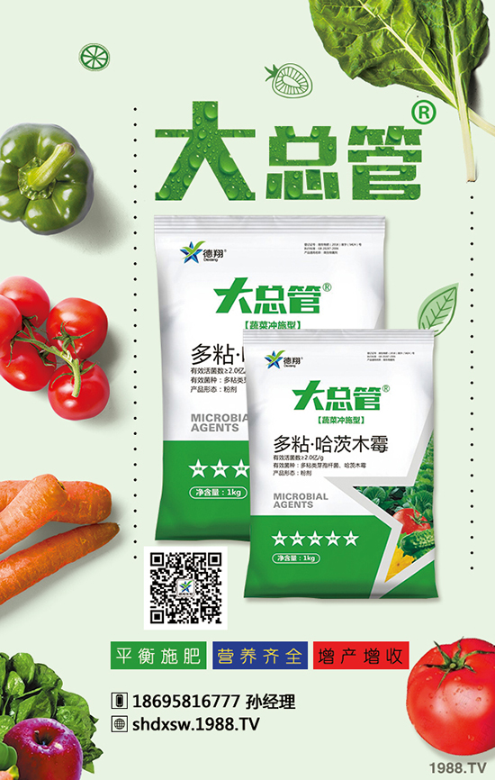 2020������Nֲٍ�X�����ɱ������X��Ч����ô����ǰ�������