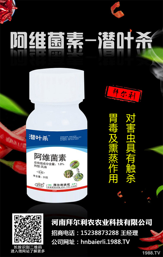 �ٶ������x(ch��ng)���r(ji��)��