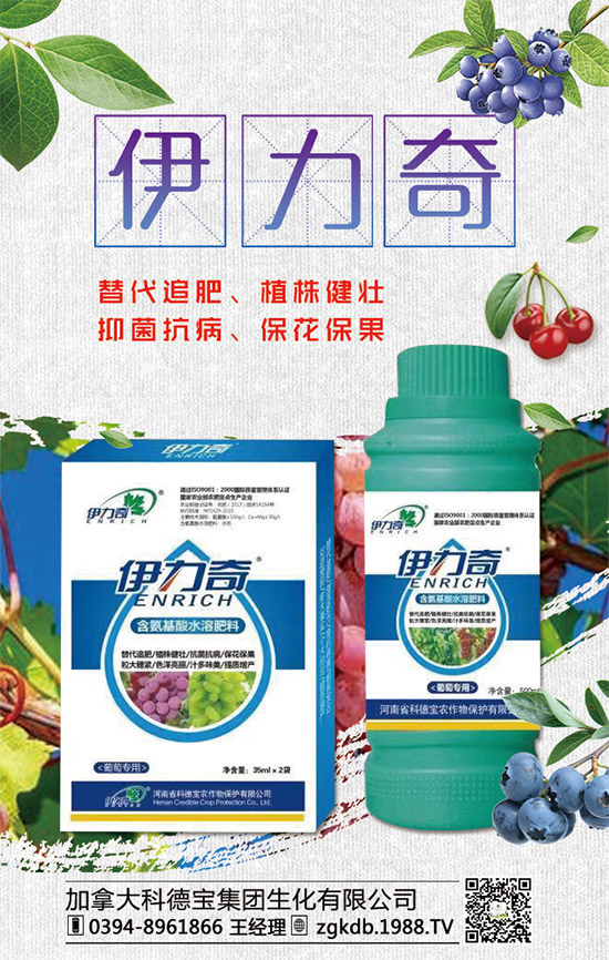     �R�����P(gu��n)�����@�����Ƿ��ϸ���2020����@�r�������߄��A(y��)�y��