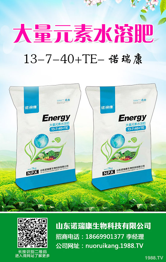     �R�����P��2020�������Ј���������׃�����������������