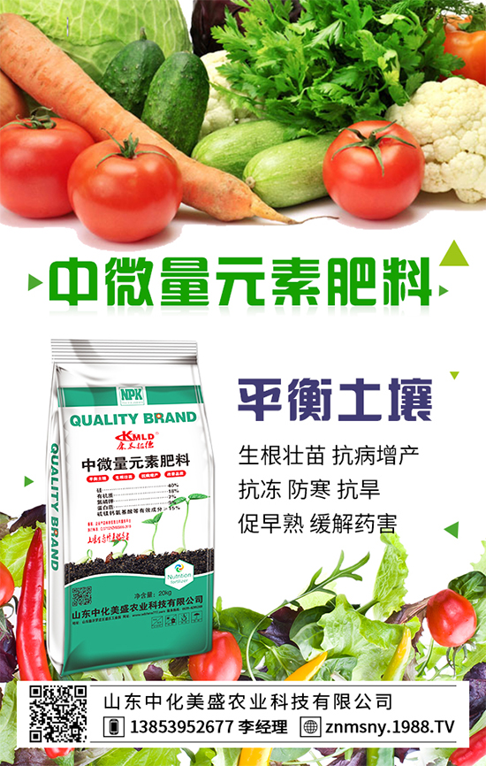 茶樹菇如何種植?茶樹菇的種植技術(shù)!