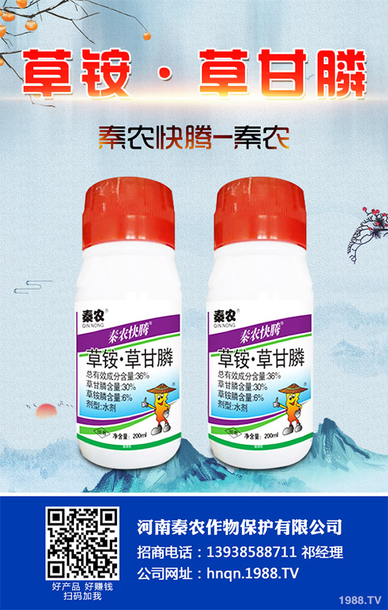 Prentiss������������(ch��ng)�s�ݳ��݄�Camp-D ��2��4-D�Ͱ��������