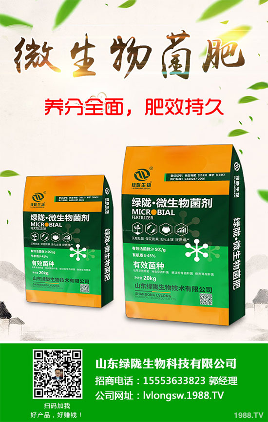 2020板栗種植前景如何?六步教你輕松種出高產板栗